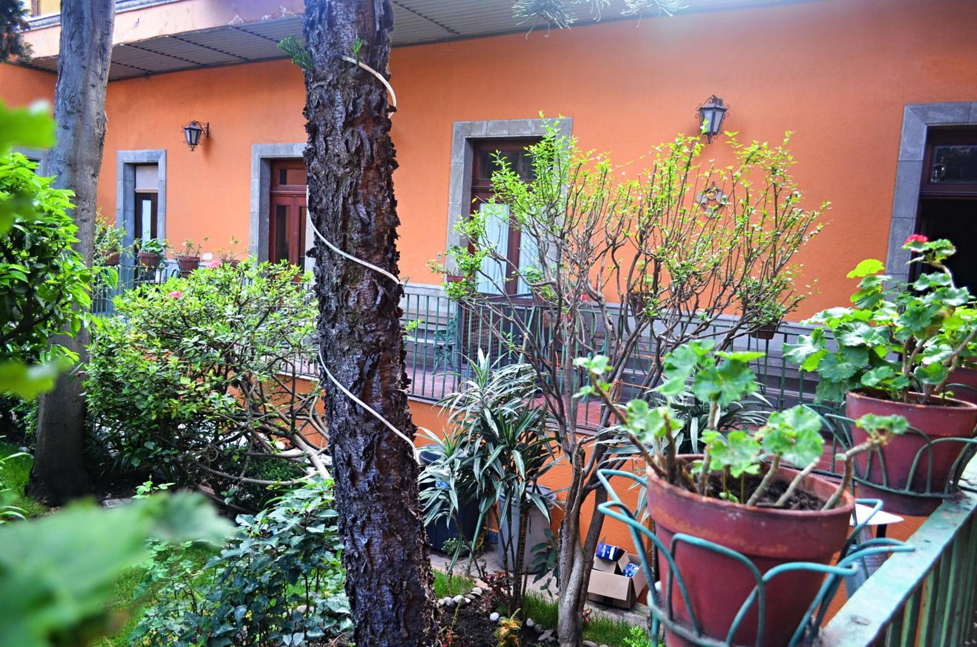 Hacienda Gobernadores Ciudad de México Exteriér fotografie