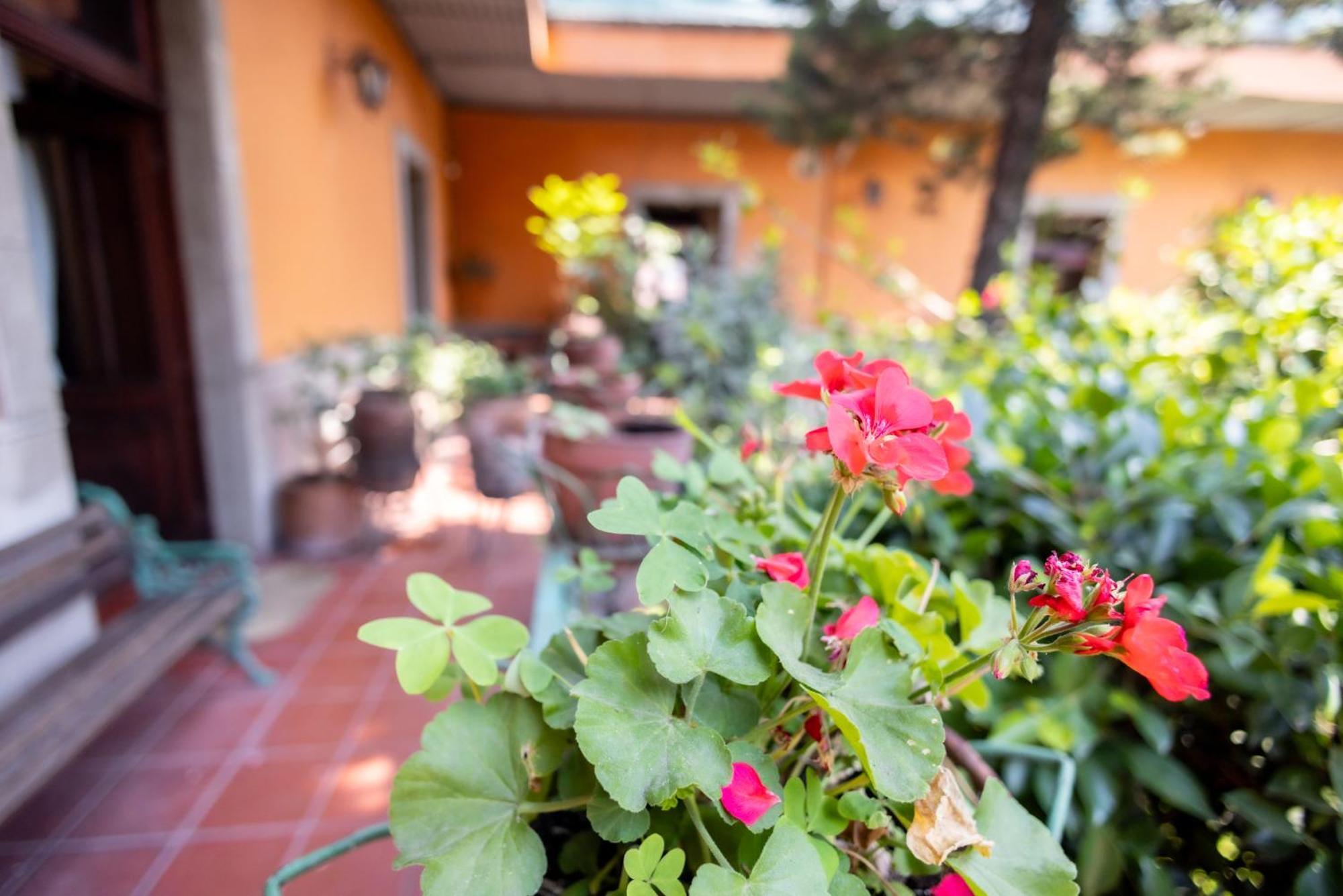 Hacienda Gobernadores Ciudad de México Exteriér fotografie